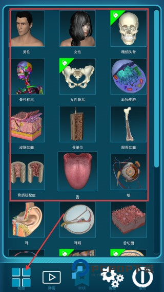 人体解剖学图谱