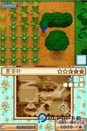 牧场物语风之集市手机版