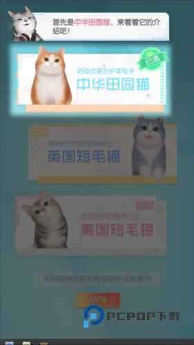 超喵星计划九游版