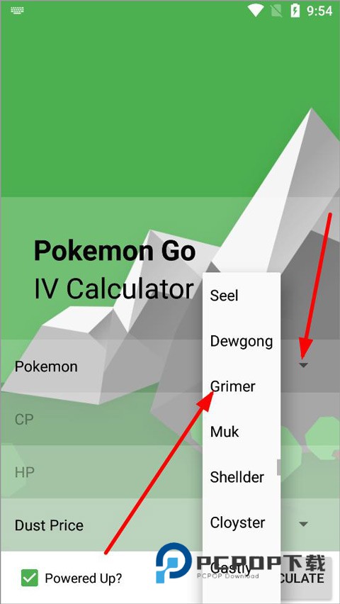 口袋妖怪个体值计算器