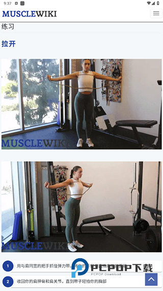 musclewiki安卓app下载官方2026最新版v3.0.9手机版