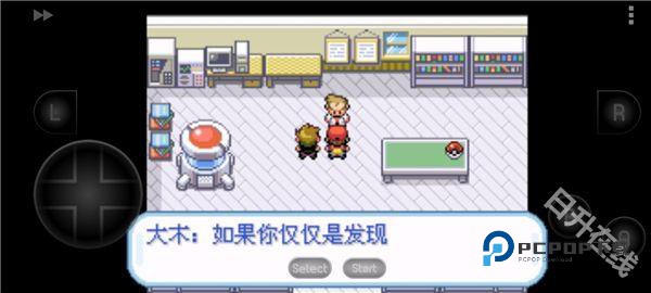 口袋妖怪叶绿版