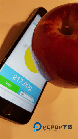 Touchscale屏幕电子秤