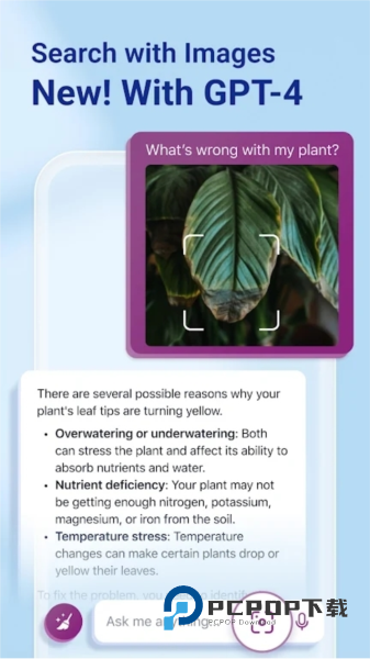 必应浏览器国际版