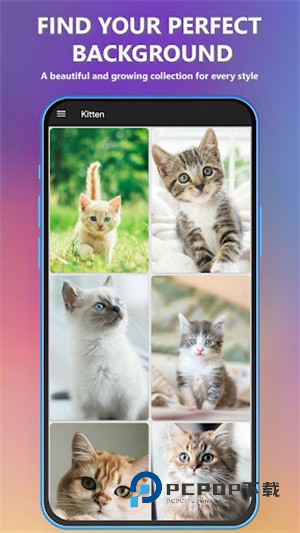 可爱小猫壁纸app下载-可爱小猫壁纸(Kitten Wallpapers)手机版下载v2.3.6 可爱小猫壁纸app下载-可爱小猫壁纸(Kitten Wallpapers)手机版下载v2.3.6