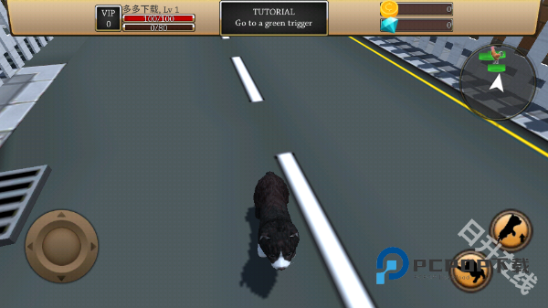 最新的ZOOM动物马