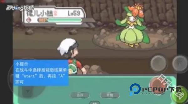 口袋妖怪究极绿宝石