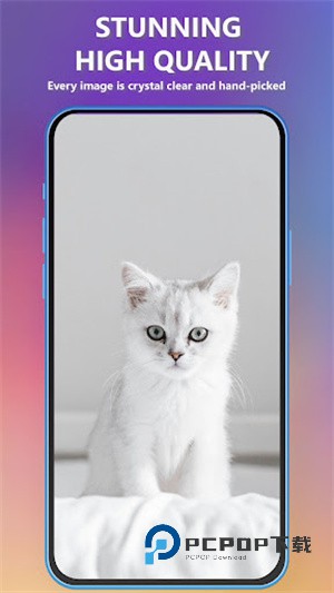 可爱小猫壁纸app下载-可爱小猫壁纸(Kitten Wallpapers)手机版下载v2.3.6 可爱小猫壁纸app下载-可爱小猫壁纸(Kitten Wallpapers)手机版下载v2.3.6