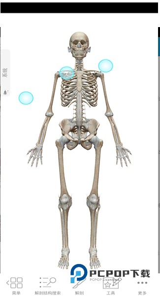 人体解剖学图谱