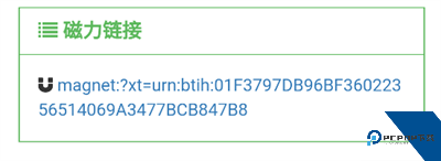 老王磁力最新版