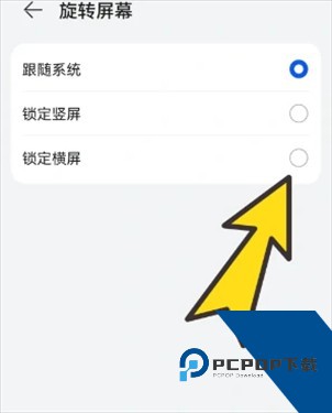 啵啵浏览器蓝标