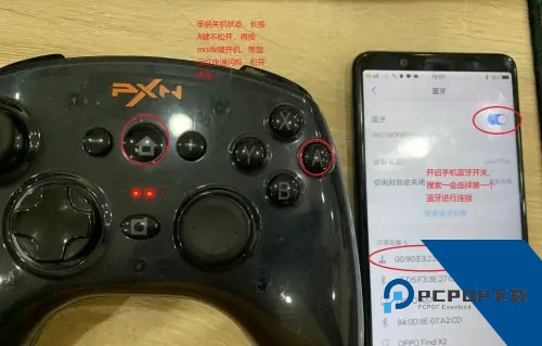 小鸡模拟器TV版