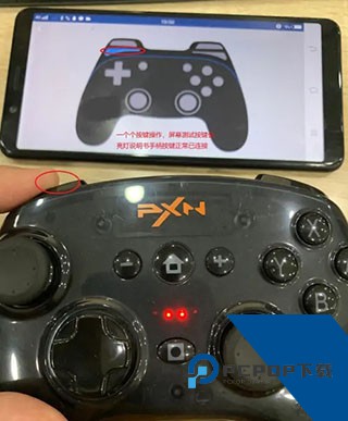 小鸡模拟器TV版