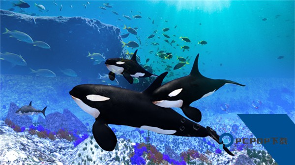 虎鲸模拟器中文版