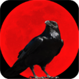 乌鸦之霜手游