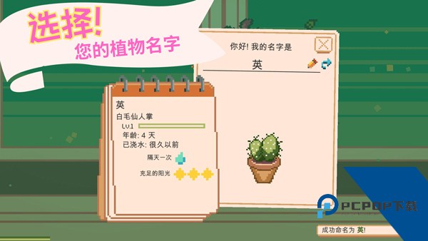 窗边花园中文版