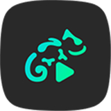 蜥蜴音乐播放器中文版