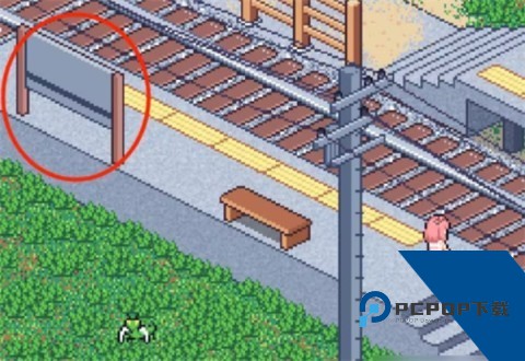 寻找夏日的宝物