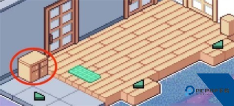 寻找夏日的宝物