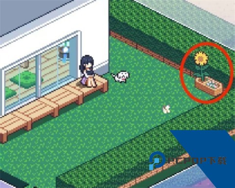 寻找夏日的宝物