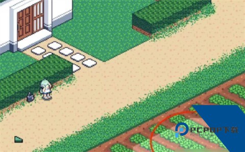 寻找夏日的宝物