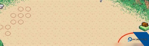 寻找夏日的宝物