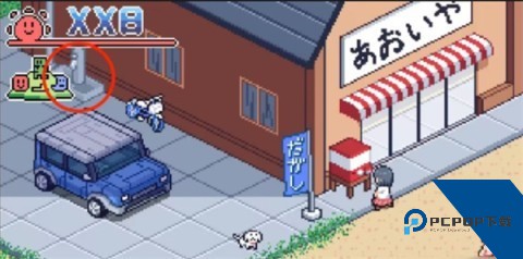 寻找夏日的宝物