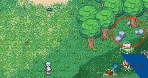 寻找夏日的宝物