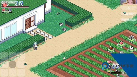 寻找夏日的宝物