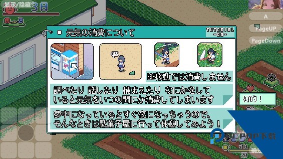 寻找夏日的宝物