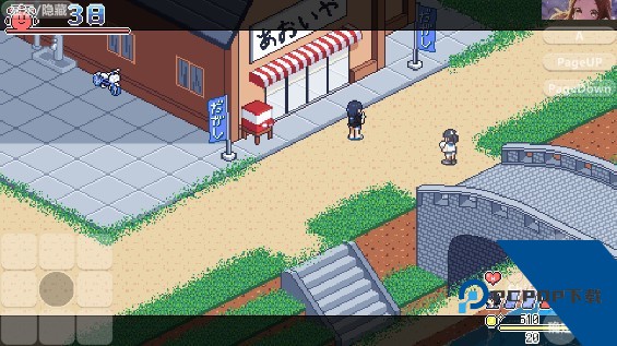 寻找夏日的宝物