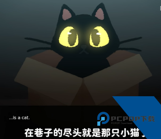 别带这只猫回家