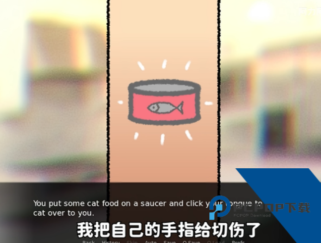 别带这只猫回家