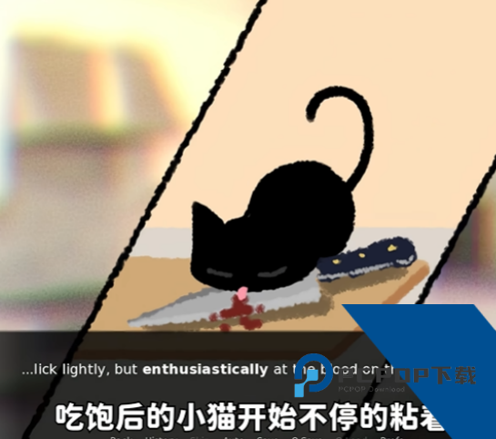 别带这只猫回家