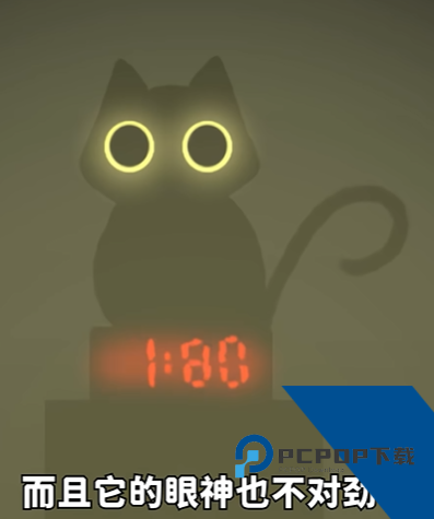 别带这只猫回家