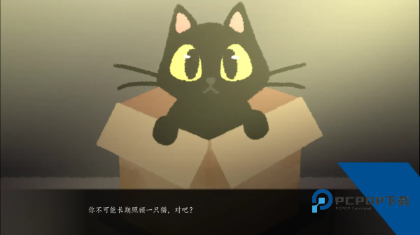 别带这只猫回家