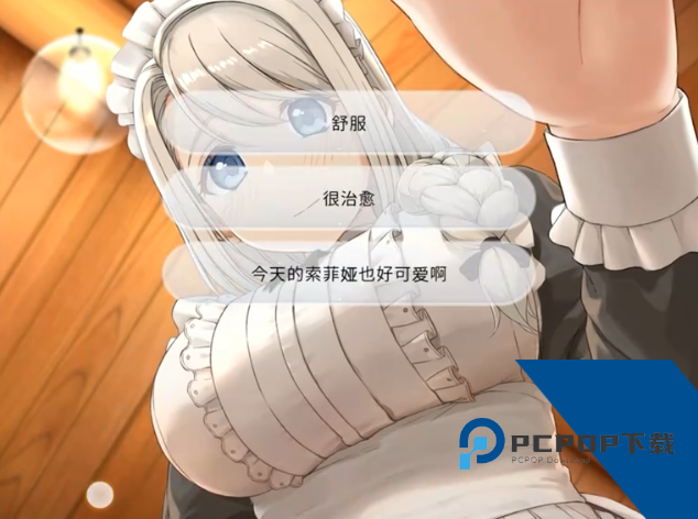 我与索菲亚的秘密