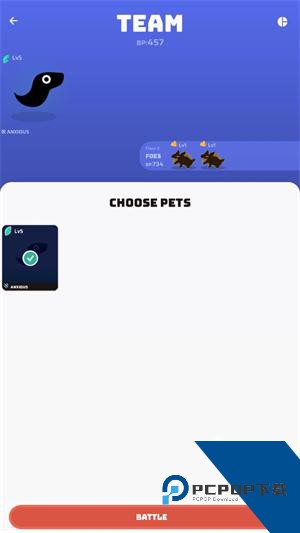 虚空宠物地下城