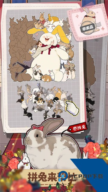 挤在一起的兔兔