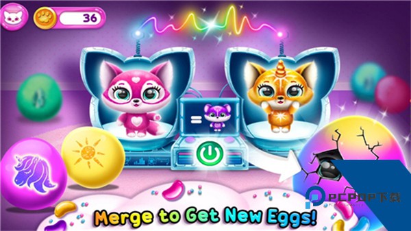 菲露茜斯宠物猫最新版