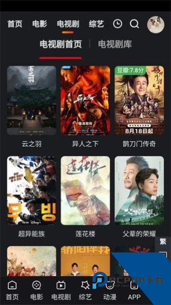 追影猫在线观看