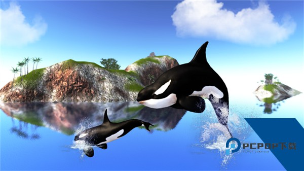 虎鲸模拟器中文版