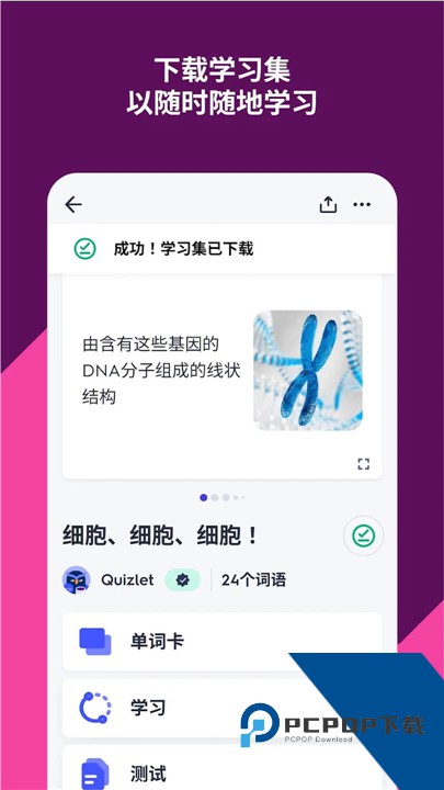 Quizlet安卓版