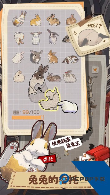 挤在一起的兔兔