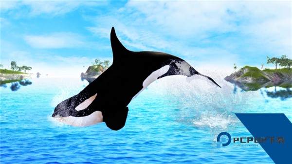 虎鲸模拟器中文版