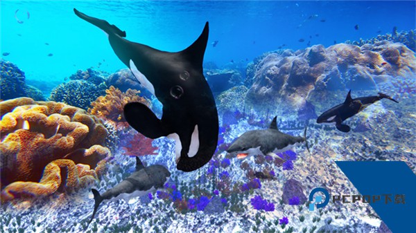 虎鲸模拟器中文版