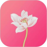 如义社区app官方2026新版 v1.0.1