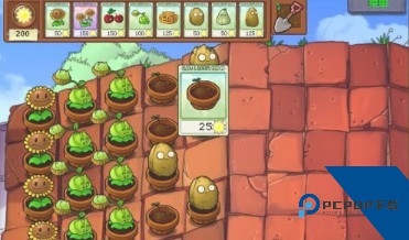 植物大战僵尸1完整版