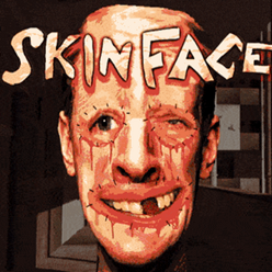 Skinface官方正版 安卓版v1.0