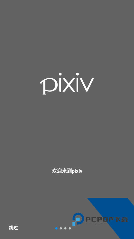 p站pixiv会员版